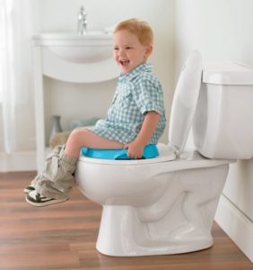 Fisher-Price Learn-to-Flush Potty