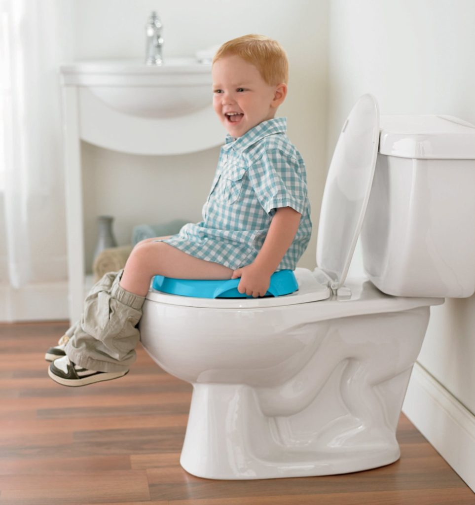 Fisher-Price Learn-to-Flush Potty